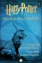 [Harry Potter: A Journey Through 04] • Un Viaggio Attraverso Cura Delle Creature Magiche